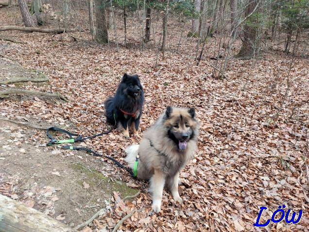 19.2.2023 - Dwix und Howard unterwegs im Finsteren Gang